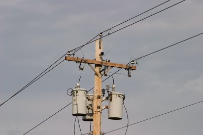 g1/87/831287/3/110589036.12BNbmu6.jpg