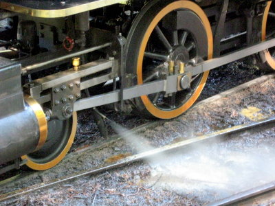 Steam Trains in Tilden Park