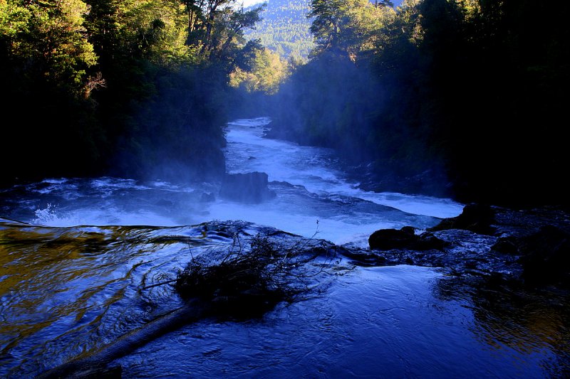 Salto la Leona