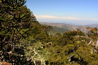 View from Piedra del Aguila