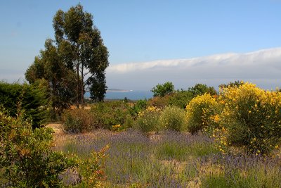 Tunquen landscape