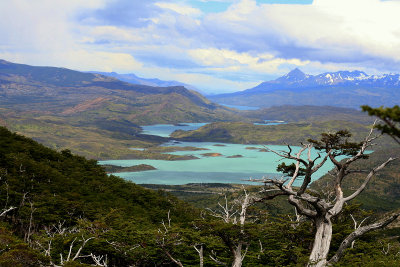 Torres del Paine 298.jpg