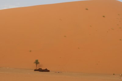 Sahara5.jpg