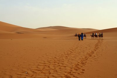 Sahara6.jpg