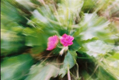 g1/87/893587/3/131749411.nOWu1mB9.jpg