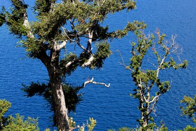 Lago Panguipulli