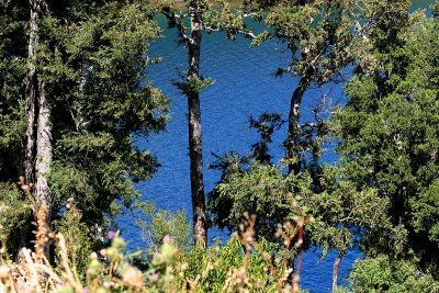 Lago Panguipulli