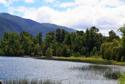 Lago  Pirigueico