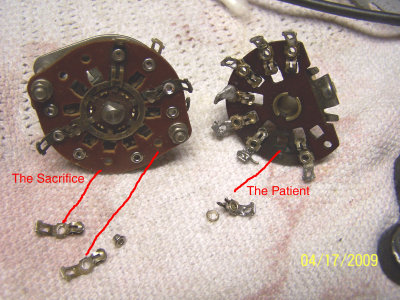 Patient and Donor w.jpg