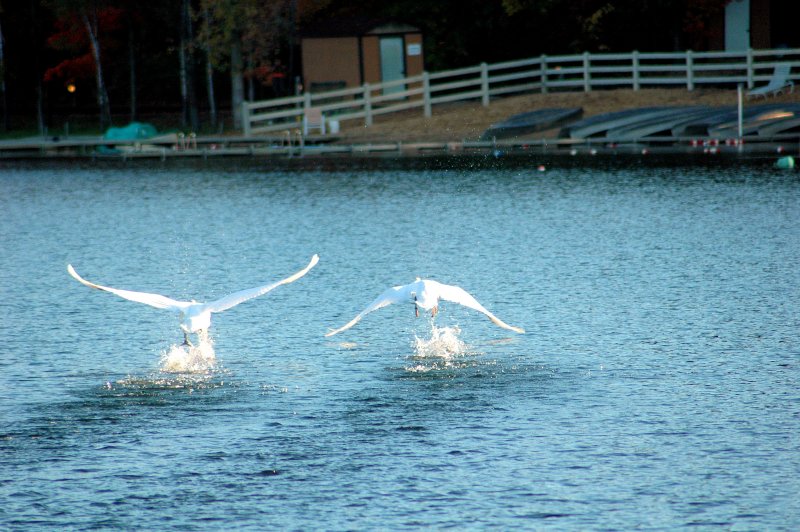 DSC_0656.JPG