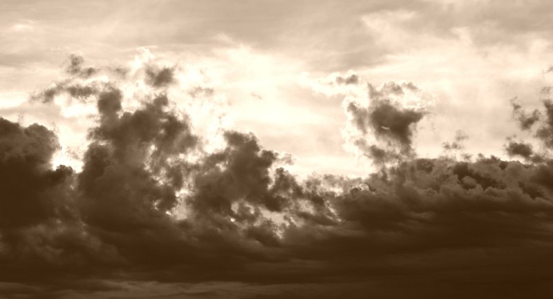 DSC_7398_mod_bw.jpg