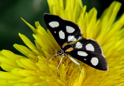 g1/87/963387/3/128308844.SDrhJE0g.jpg