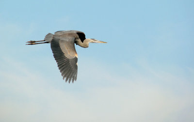 g1/87/963387/3/128342227.5Duvr3C9.jpg