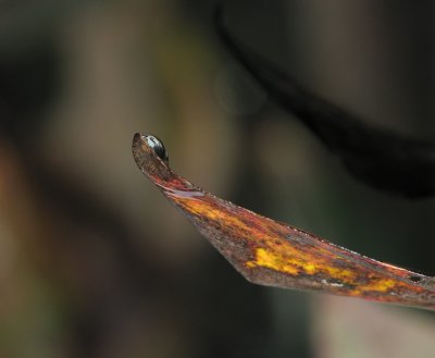 g1/87/963387/3/128355877.Ys7qtg7w.jpg