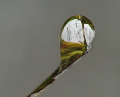 g1/87/963387/3/128355884.7KFlidXD.jpg
