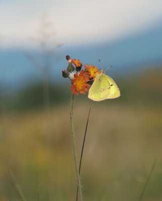 2009: Septembre