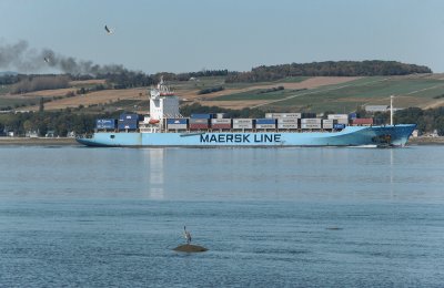 Maersk Line contre Hron