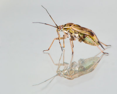 g1/87/963387/3/128506318.S9zrfx5T.jpg