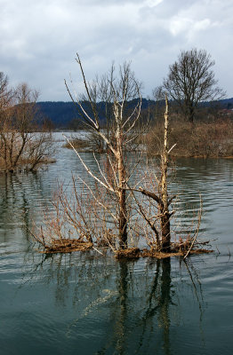 flood on Planinsko polje