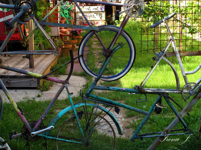 Fence bicycle (IMG_2178 ok.jpg)