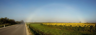 Fogbow (Panorama 7m.jpg)
