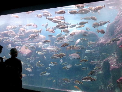 Thalassokosmos aquarium