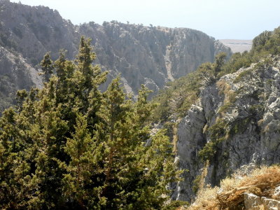 g1/87/986887/3/146512197.OSgBTDAl.jpg