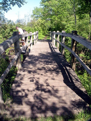 Bog_Bridge.jpg
