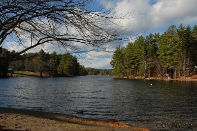 LoonLake.jpg