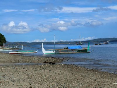CIMG0232.jpg
