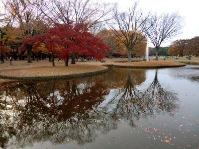 CIMG0338.jpg