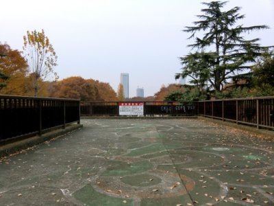 CIMG0339.jpg