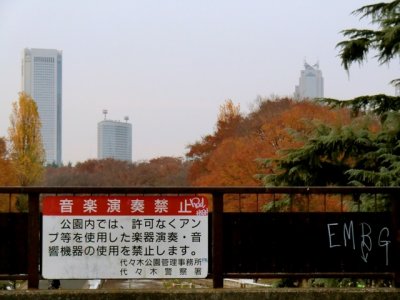 CIMG0341.jpg
