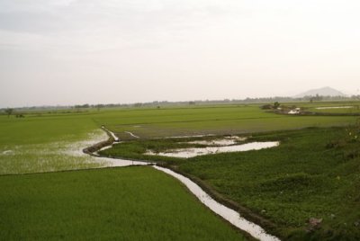 L1125536.jpg