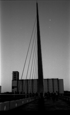 sc00146b7209.jpg