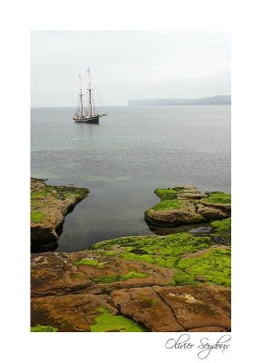 2_OS1_7243
