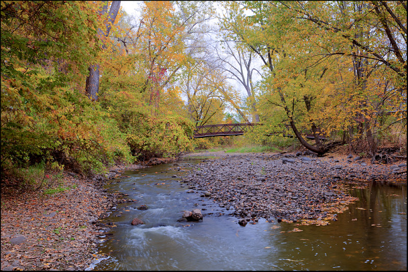 Foot Bridge and Stream