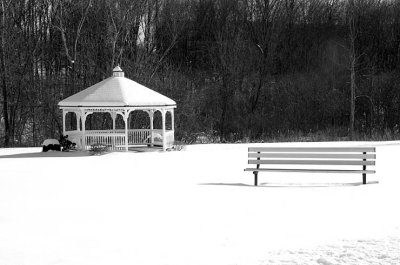 20090121_132356DSC_6973.jpg
