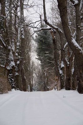 20090125_164926DSC_7033.jpg