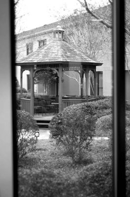 20090128_165538DSC_7071.jpg