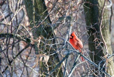 20090202_140014DSC_7200.jpg