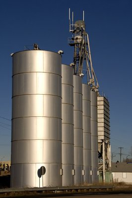 2008-01-31.jpg