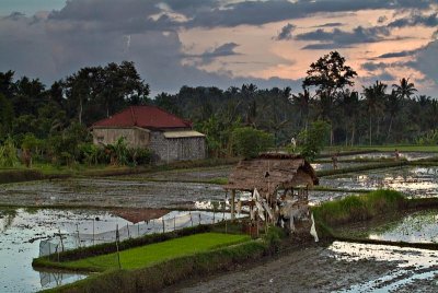 Bali7(0007)-Edit.jpg