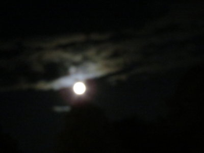 Harvest Moon_9-30-2012 111.JPG