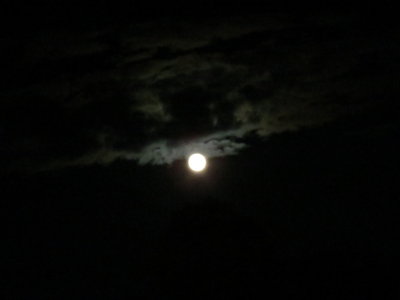 Harvest Moon_9-30-2012 115.JPG