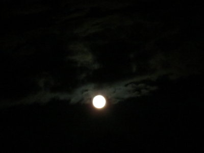 Harvest Moon_9-30-2012 117.JPG