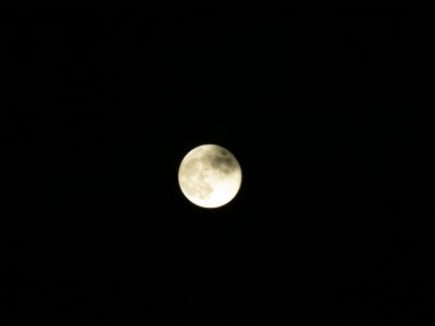 Harvest Moon_9-30-2012 121.JPG