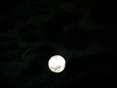 Harvest Moon_9-30-2012 128.JPG