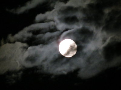 Harvest Moon_9-30-2012 130.JPG