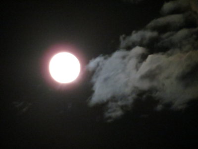 Harvest Moon_9-30-2012 132.JPG